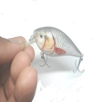 JUST ONE CLICK Hard Bait Plastic Fishing Lure(Pack of 1, Size 6)