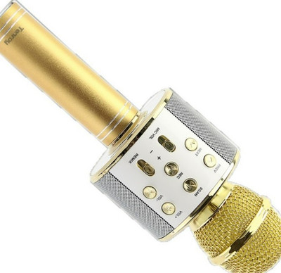 Stybits EB_WS-858 Bluetooth Handheld Wireless Speaker Karaoke Feature Color may vary Microphone