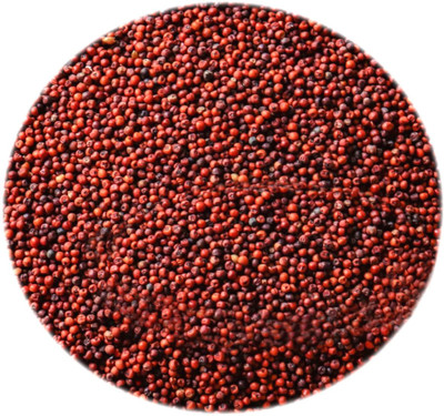 Skystar Bird Natural Red Millet Growth Food for dove parrot cockatoo macaw All Birds Vegetable 1 kg Dry Adult, Young Bird Food