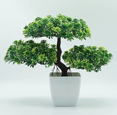 WhiteAsh Bonsai Wild Artificial Plant  with Pot(11 cm, Green)