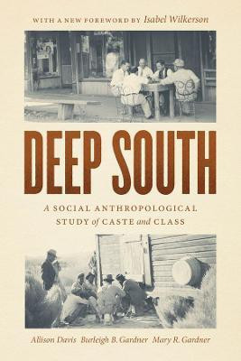 Deep South(English, Paperback, Davis Allison)