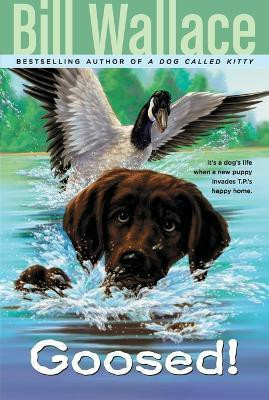 Goosed!(English, Paperback, Wallace Bill)