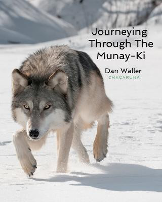 Journeying Through The Munay-Ki(English, Paperback, Waller Dan)