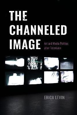 The Channeled Image(English, Paperback, Levin Erica)