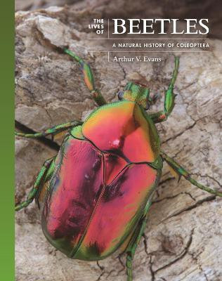 The Lives of Beetles(English, Hardcover, Evans Arthur V.)