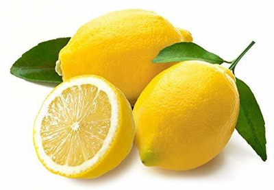 MKR Entperises Lemon Seed(12 per packet)
