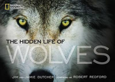 The Hidden Life of Wolves(English, Hardcover, Dutcher Jim)