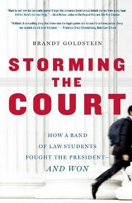 Storming the Court(English, Paperback, Goldstein Brandt)