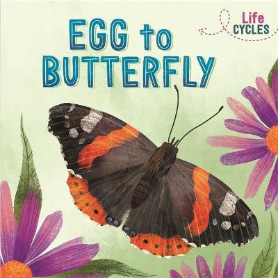 Life Cycles: Egg to Butterfly(English, Paperback, Tonkin Rachel)