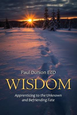 Wisdom(English, Paperback, Dunion Paul)