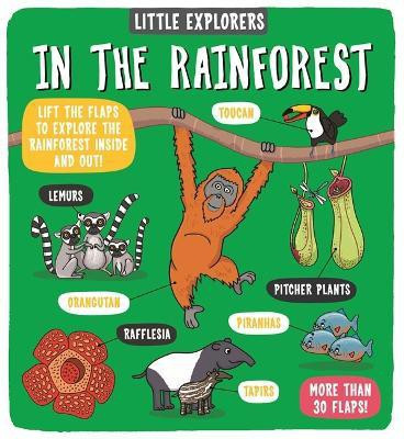 Little Explorers: In the Rainforest(English, Board book, Ltd. Dynamo)