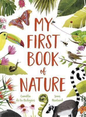 My First Book of Nature(English, Paperback, Bedoyere Camilla De La)