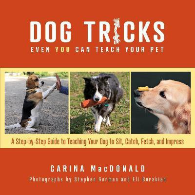 Dog Tricks Even You Can Teach Your Pet(English, Paperback, MacDonald Carina)