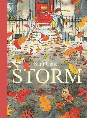 Storm(English, Paperback, Usher Sam)