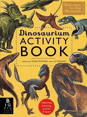 Dinosaurium Activity Book(English, Paperback, Murray Lily)