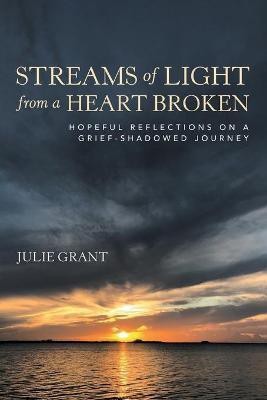 Streams of Light from a Heart Broken(English, Paperback, Grant Julie)