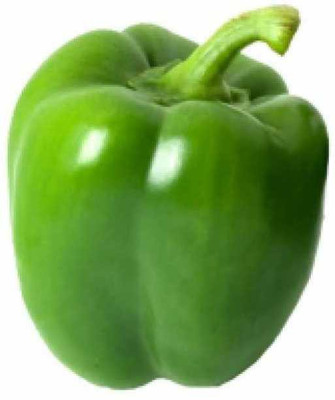 Mozette Hybrid Capsicum Seed(65 per packet)