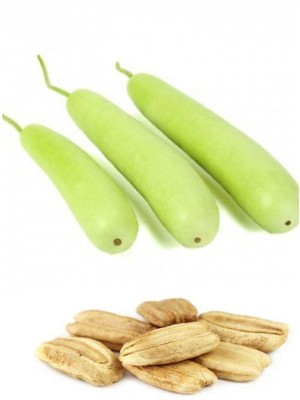 KANAYA Bottle Gourd ( Lauki/ Lau/Clabash) Seeds Seed(20 per packet)