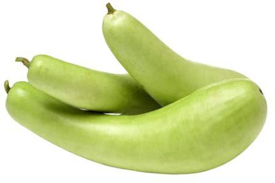 MKR Enteprises Bottle Gourd Seed(100 per packet)