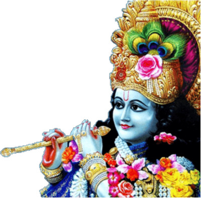 Decoration Stickers 48 cm krishna Self Adhesive Sticker(Pack of 1)