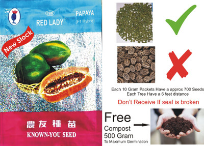 Foscos Red lady hybrid 786 papaya seeds Seed(100 per packet)