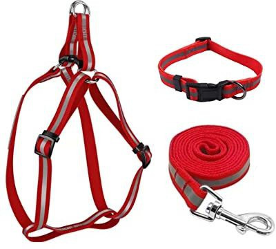 Pups&Pets Reflective Nylon Puppy Harness & Leash Set for Small & Medium Dogs Dog Everyday Collar(Extra Large, Multi color)