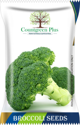 Countgreen Plus Brocolli Seed(100 per packet)