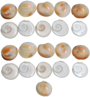Saptraag 21 Pc Gomti Chakra 1cm Stoneware Yantra