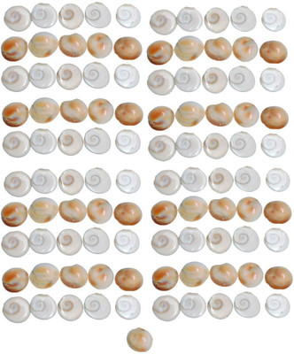 Saptraag Saptraag 108pc Gomati Chakra of 1.5 cm Stoneware Yantra(Pack of 108)