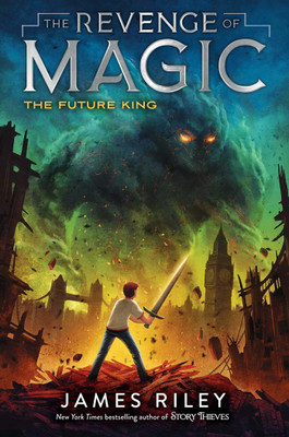 The Future King(English, Paperback, Riley James)