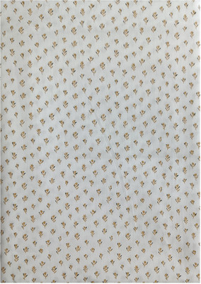 Raymond Cotton Blend Printed Shirt Fabric