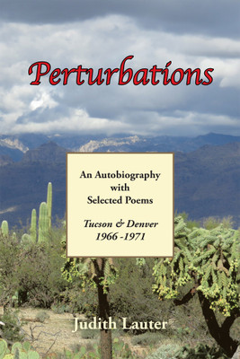Perturbations(English, Hardcover, Lauter Judith)