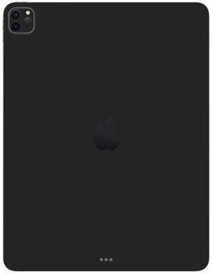 Orgic India Ipad Pro 11 Gen 2 Mobile Skin(Matte Black)