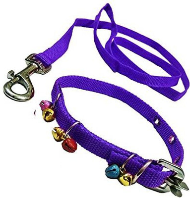 Sip Nylon Dog Belt Combo of blue Ghungroo Collar with blue 1.5m Lengthy 120 cm Dog & Cat Chain Leash(Blue)