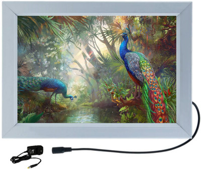 DESIGNING HUB TWO PEACOCK 02 MODEL NO-02, 18 inch ELECTRONIC LED FRAME(Silver)