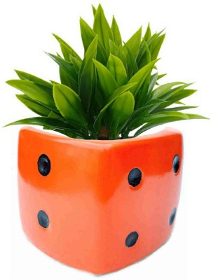 Luminescence Enterprises Ceramic Ludo Dice Shaped Planter, Red Color, Pack Of 1 Plant Container Set(Ceramic)