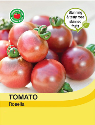 ActrovaX Vegetables - Tomato Rosella [2000 Seeds] Seed(2000 per packet)