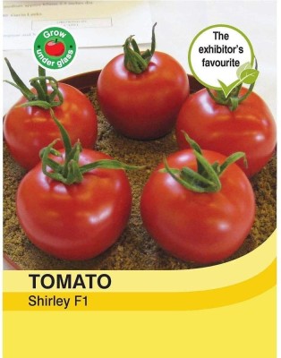 Biosnyg Vegetables - Tomato Shirley F1 Hybrid 500 Seeds Seed(500 per packet)