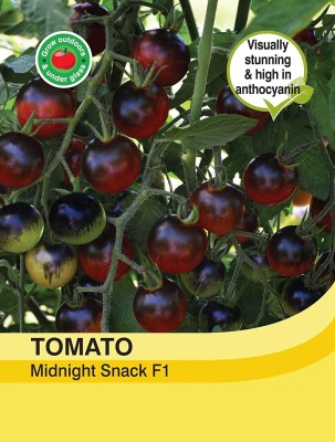 ActrovaX Vegetable - Tomato Midnight Snack [10gm Seeds] Seed(10 g)