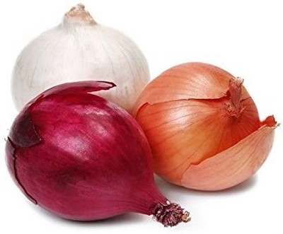 WILLVINE Mixed Onion seeds - Allium cepa Seed(1000 per packet)