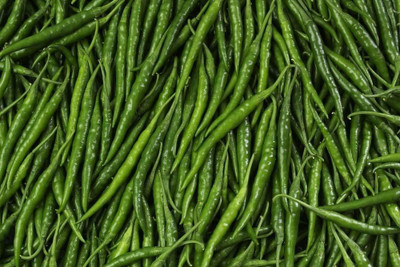 WILLVINE ™F1 Hybrid Chilli Seeds Seed(1000 per packet)