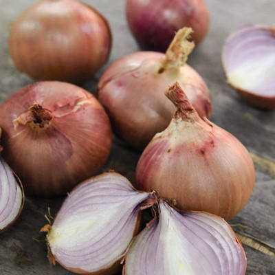 WILLVINE Onion Seed(300 per packet)