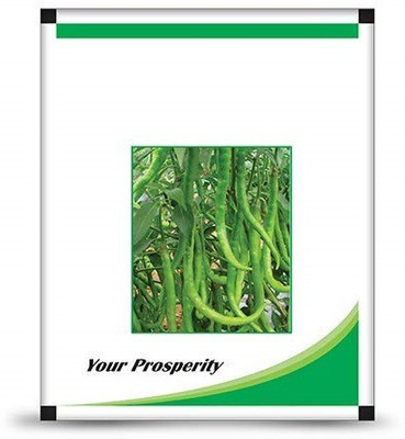 ActrovaX F1 Hybrid Chilli [10gm Seeds] Seed(10 g)