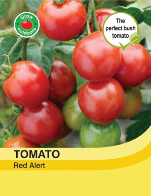 ActrovaX Vegetables - Tomato Red Alert Bush [1000 Seeds] Seed(1000 per packet)