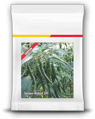 ActrovaX Chilli Hybrid -291 No. [1gm Seeds] Seed(1 g)
