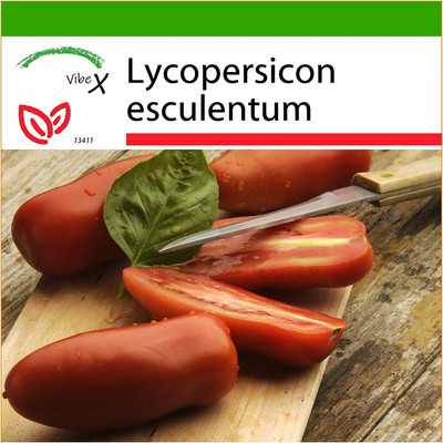 ActrovaX F1 Hybrid Tomato - San Marzano - [2000 Seeds] Seed(2000 per packet)