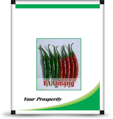 ActrovaX F1 Hybrid Chilli Umang [2000 Seeds] Seed(2000 per packet)