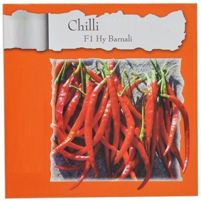 WILLVINE ™F1 Hybrid Barnali Chilli Seed(1000 per packet)