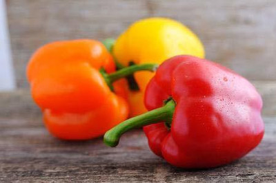 DIVINE CAPSICUM Seed(35 per packet)