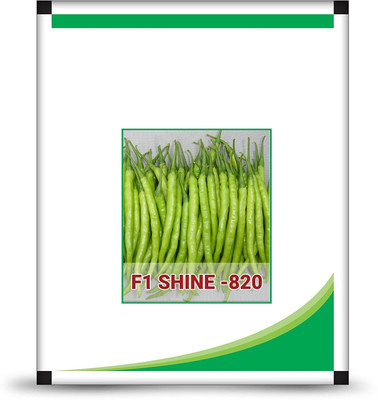 WILLVINE Chilli Seeds - Bullet Mirch Seeds Seed(200 per packet)